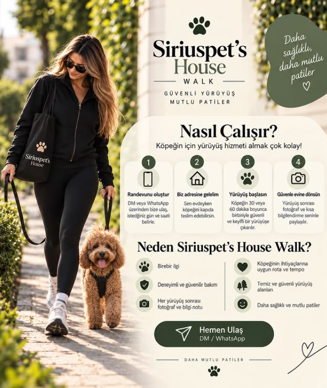 Siriuspet's House Walk Güvenli Yürüyüş